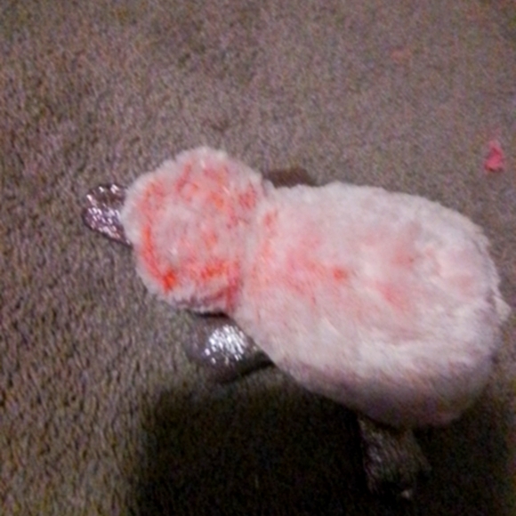 A bundle with a jacket and a stuffed Platypus. - Picture 2 of 3